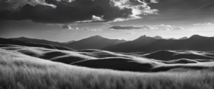 Yo, Paisaje ñ Un Retrato de la Naturaleza en Blanco y Negro