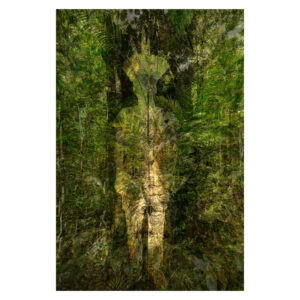 Antonio Briceño. Ukabate VII