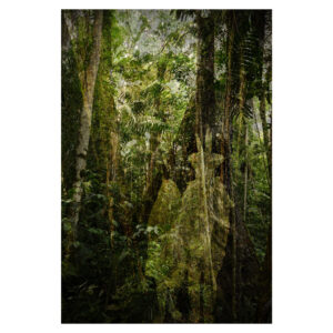 Antonio Briceño. Ukabate VIII