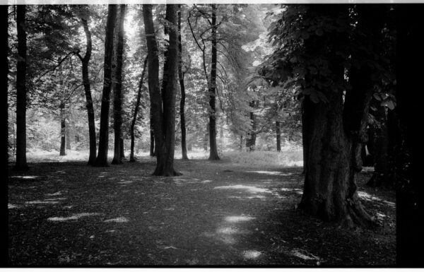 Karim Dannery. Bois de Vincennes