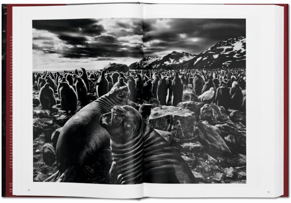 Sebastião Salgado. Génesis - Imagen 5