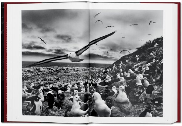 Sebastião Salgado. Génesis - Imagen 11