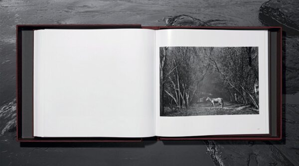 Sebastião Salgado. Kuwait. A Desert on Fire - Imagen 14