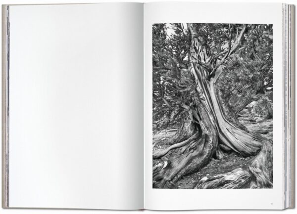 Sebastião Salgado. Genesis - Imagen 8
