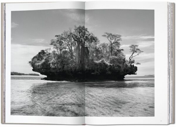 Sebastião Salgado. Genesis - Imagen 10