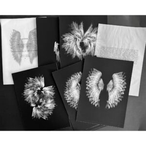 Karim Borjas. “L'Envol” (La Elevación)