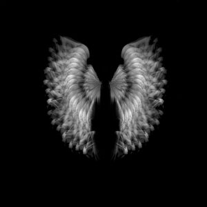 Karim Borjas. Serie L’Envol (La Elvación)