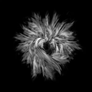 Karim Borjas Serie L’Envol (La Elvación)