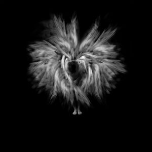 Karim Borjas. Serie L’Envol (La Elvación)