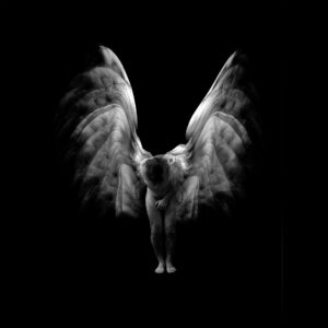 Karim Borjas. Serie L’Envol (La Elvación)