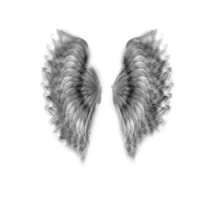 Karim Borjas. Serie L’Envol (La Elvación)