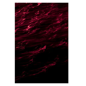 Juan Andrés Requena, Reflejos de luz sobre el agua - I