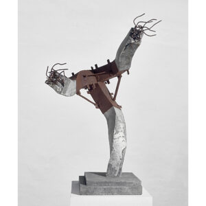 Alberto Cavalieri. Construcción en destrucción