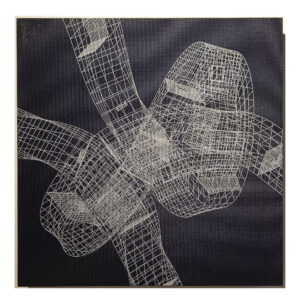 Alberto Cavalieri. Wireframe SBlue5