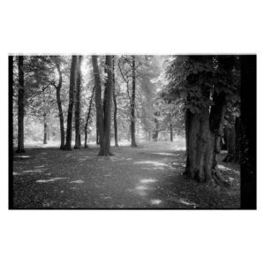 Karim Dannery. Bois de Vincennes