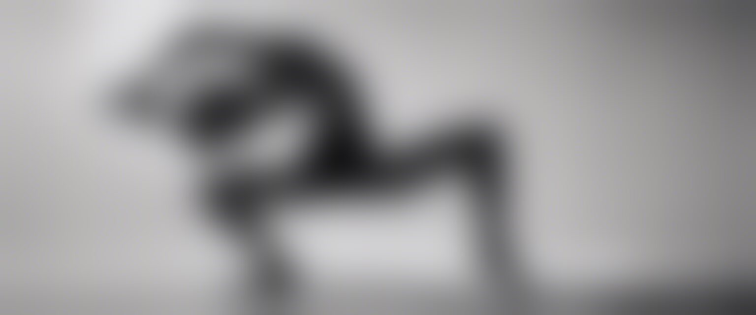 Ricardo Arispe. Yo Soy Cuerpo: Un Viaje Visual