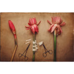 RAM Martínez: una mirada que transforma la escena.