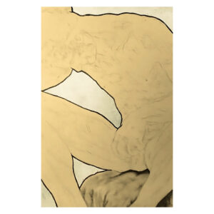 Gustavo Zajac, Serie "Poeticas del deseo (la ausencia)". Sin titulo