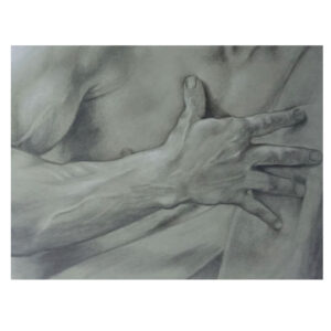 Gustavo Zajac, Serie Sombras y Aromas. Manos de devoción / hands of devotion