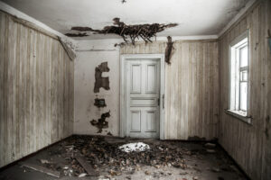 Ricardo Arispe. Chernobyl, 40 años 27