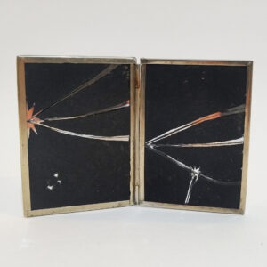 Salome Rojas, Anteproyecto sobre el cielo #1
