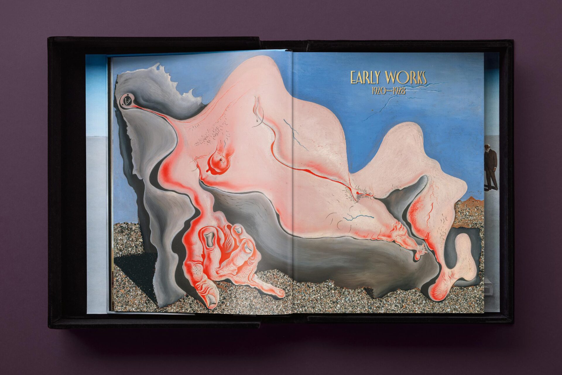 Dalí. BABY SUMO - Imagen 36