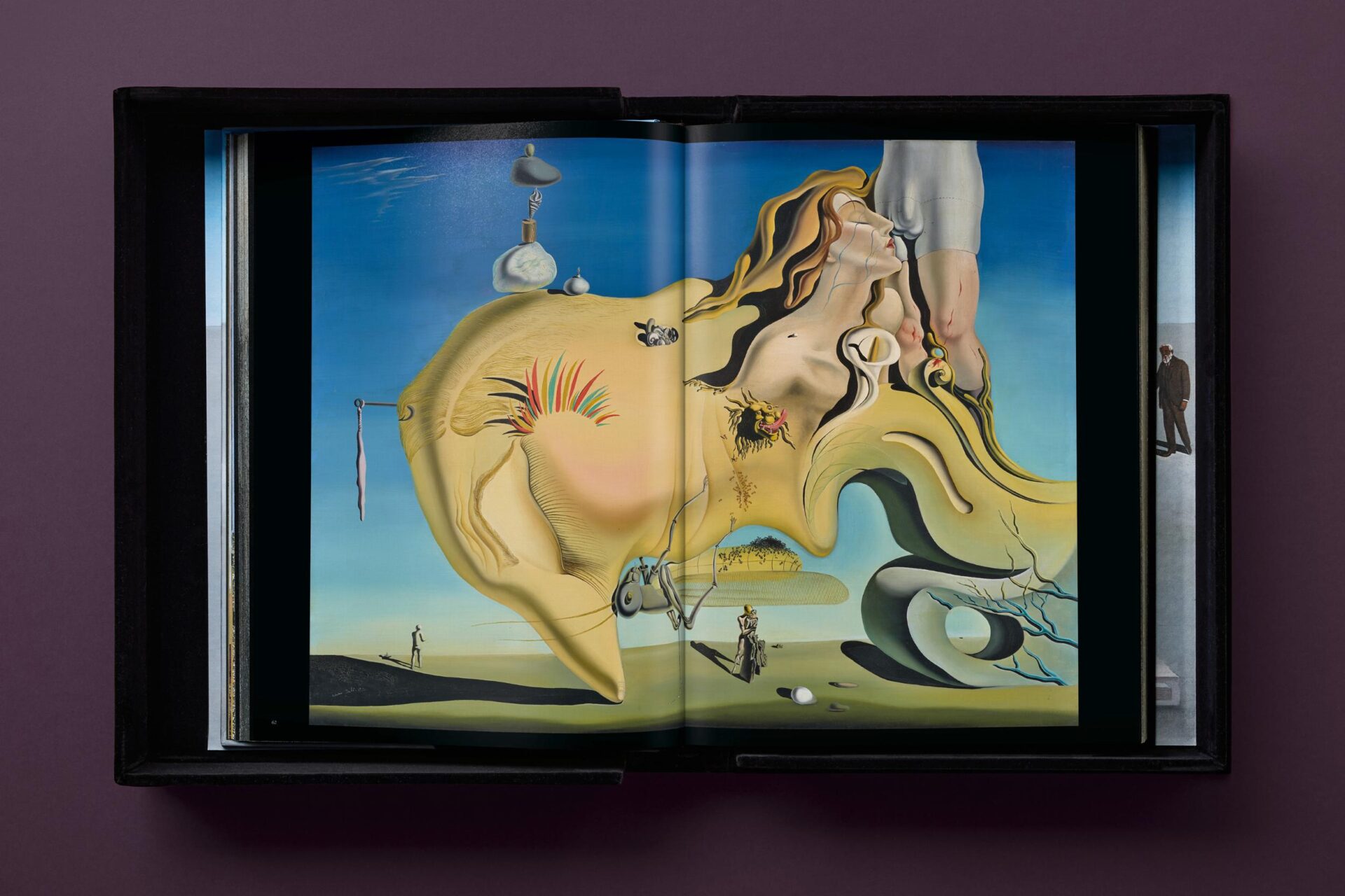 Dalí. BABY SUMO - Imagen 32