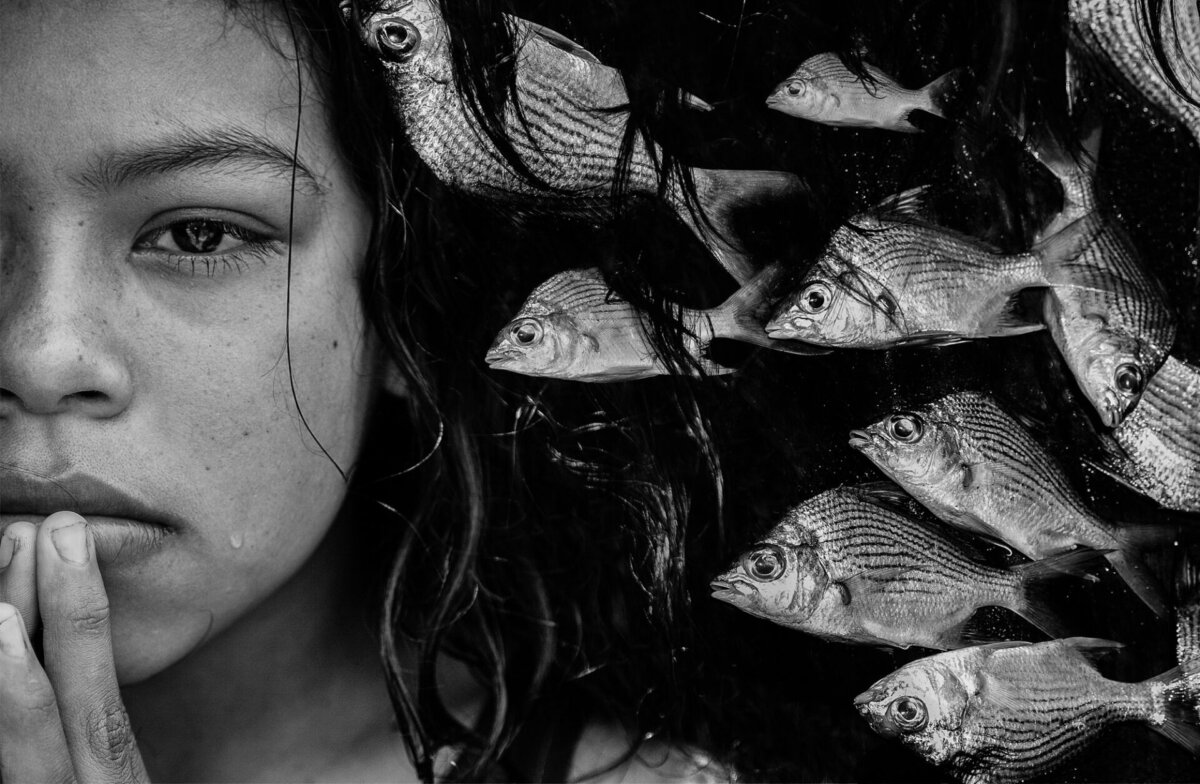 Jenny Woodman. Peces